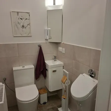 Апартаменты Kudowski Potok