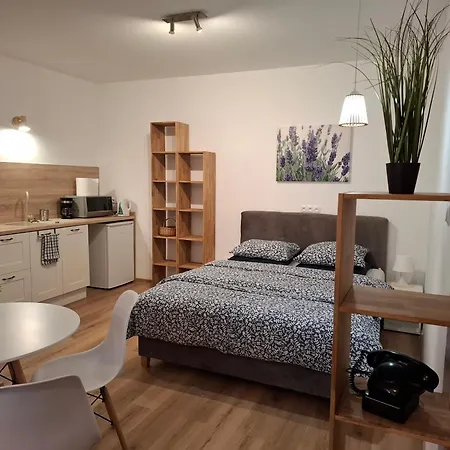 Kudowski Potok * Кудова-Здруй