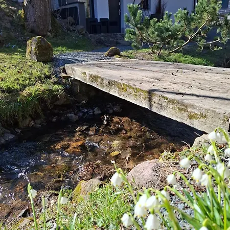 Kudowski Potok Kudowa-Zdrój