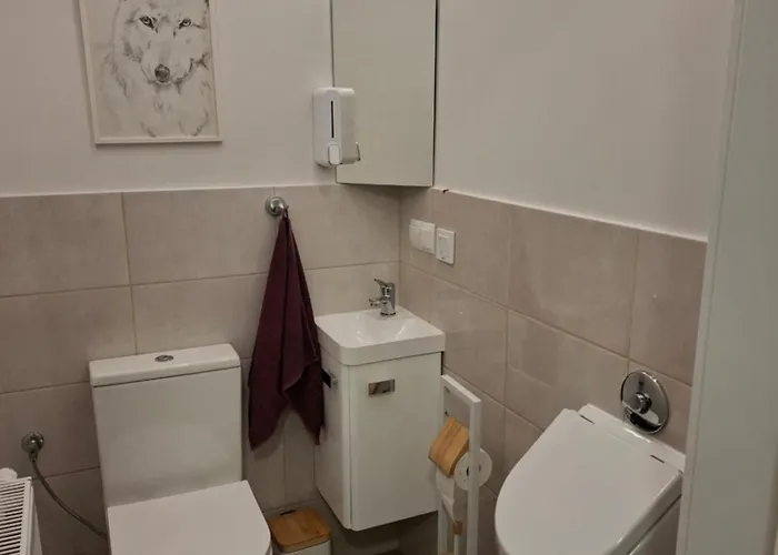 Apartment Kudowski Potok