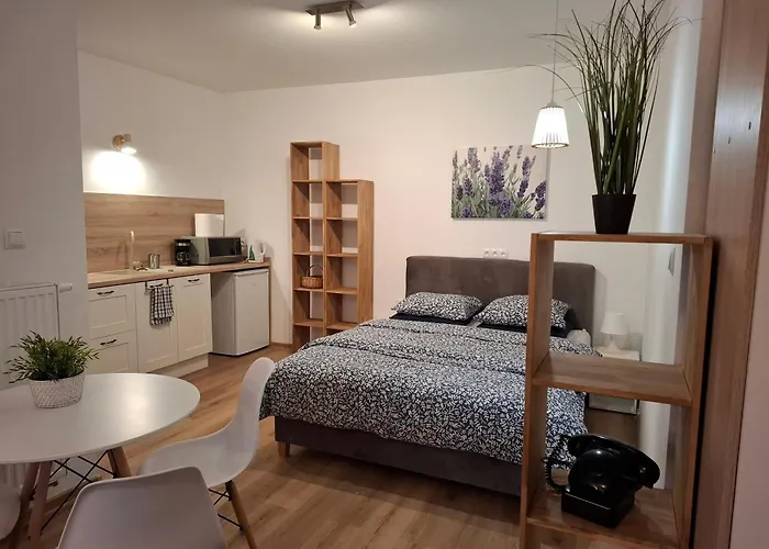 Kudowski Potok * Кудова-Здруй