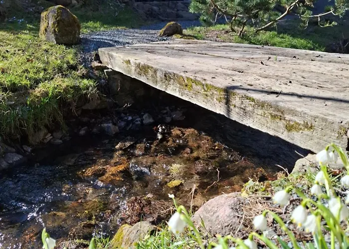 Kudowski Potok Кудова-Здруй